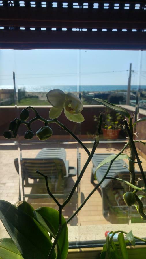 Bb Fly And Beach Bed & Breakfast Fiumicino Dış mekan fotoğraf